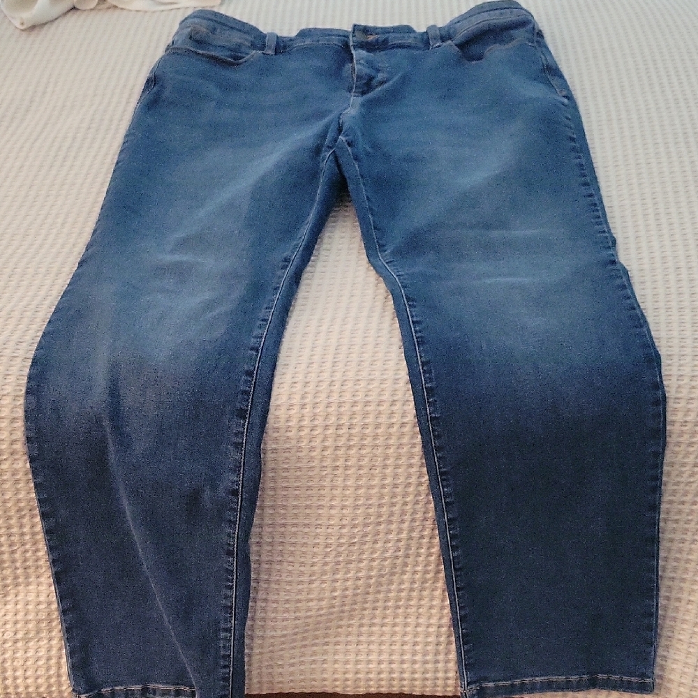 Talbots Blue Straight Leg Jeans